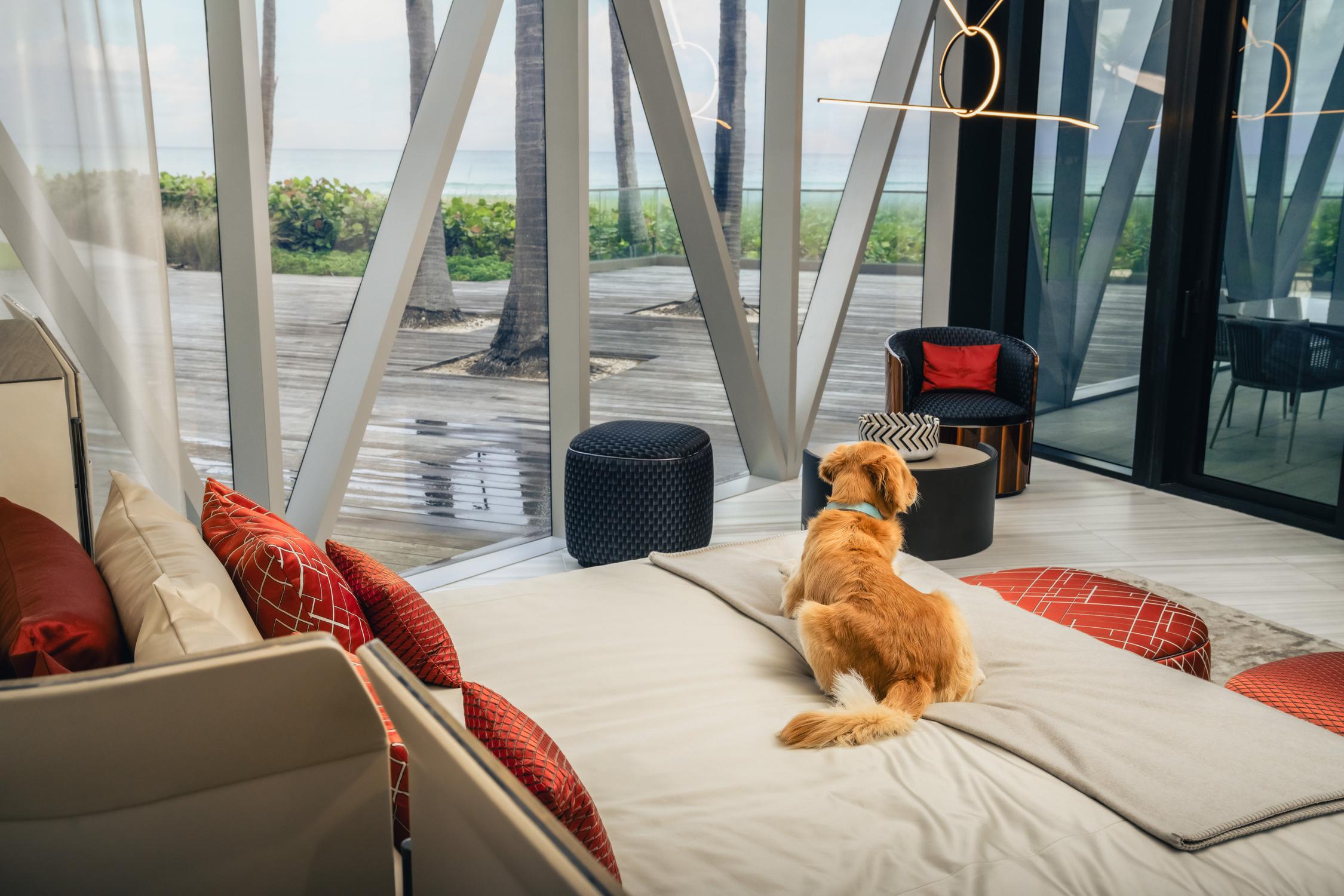 bentley motors r&eacute;sidence spa animaux