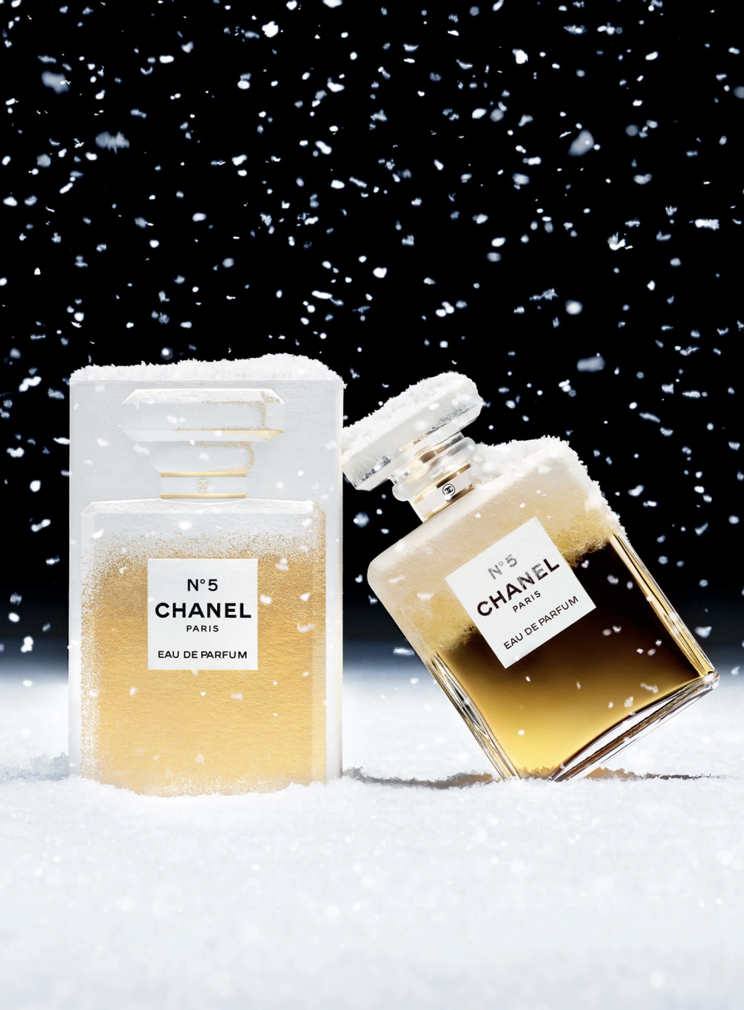 nouveaut&eacute; parfum de luxe pour femme chanel