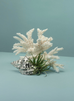 Qu'attendre de la Design Week 2025 de Milan ?