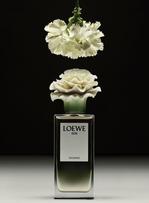 Loewe met la porcelaine au parfum