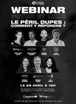 Webinar exceptionnel - le péril dupes : comment y répondre ?