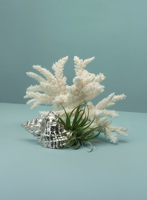 Qu'attendre de la Design Week 2025 de Milan ?