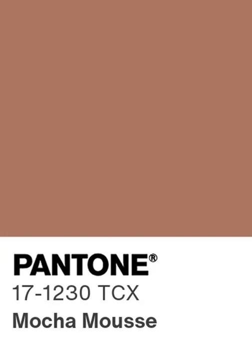 Le marron Mocha Mousse de Pantone est la couleur de l'année 2025